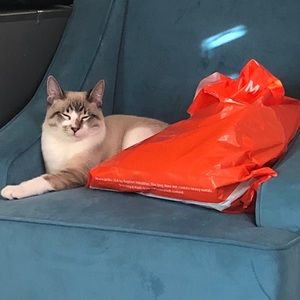 Meet your Posher, Ana